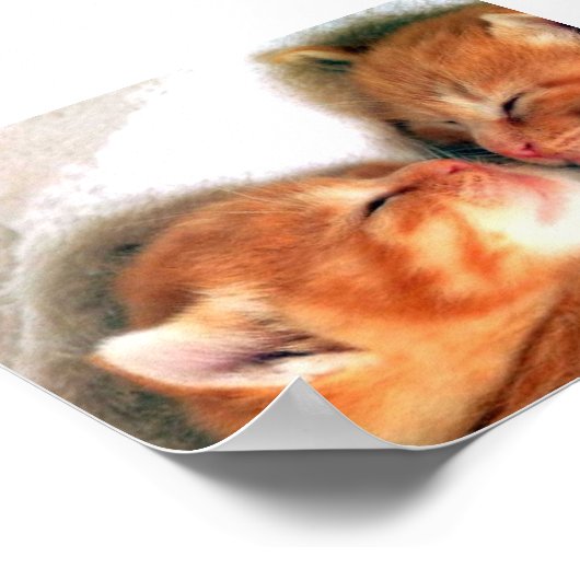 Katzen Poster (Ecke)