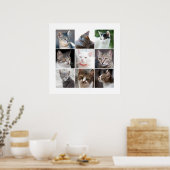 KATZEN POSTER (Küche)
