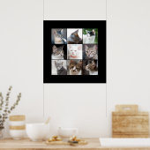 KATZEN POSTER (Küche)