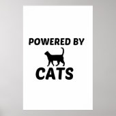 KATZEN POSTER (Vorne)