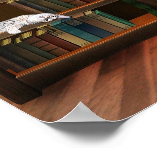 Katzen Poster (Ecke)