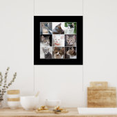 KATZEN POSTER (Küche)