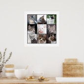 KATZEN POSTER (Küche)