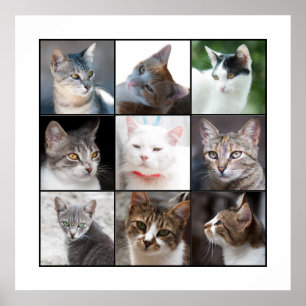 KATZEN POSTER