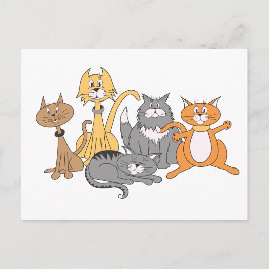Katzen! Postkarte (Vorderseite)
