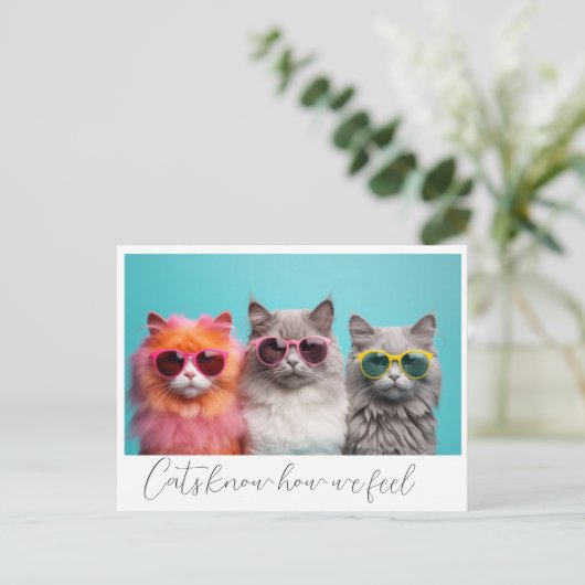 Katzen Postkarte (Stehend Vorderseite)