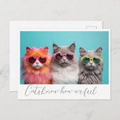 Katzen Postkarte (Vorne/Hinten)