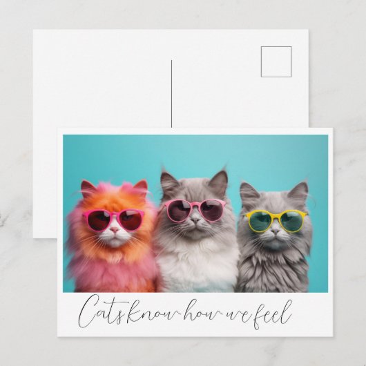 Katzen Postkarte (Vorne/Hinten)