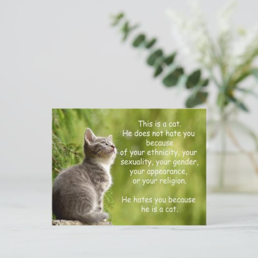 Katzen Postkarte (Stehend Vorderseite)