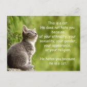 Katzen Postkarte (Vorderseite)