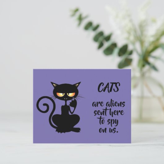 Katzen Postkarte (Stehend Vorderseite)