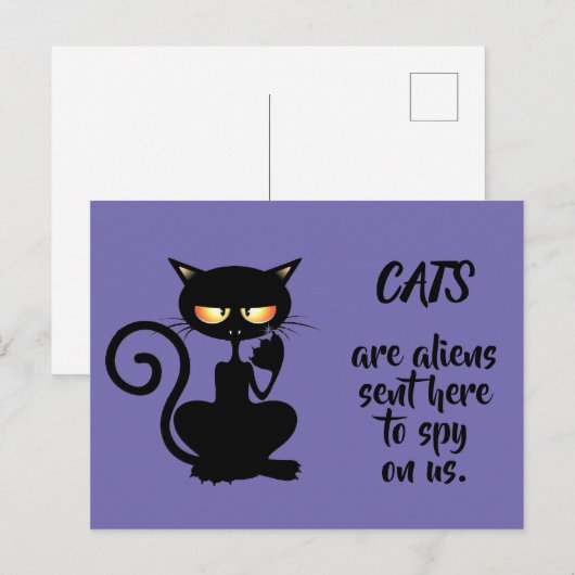 Katzen Postkarte (Vorne/Hinten)