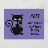 Katzen Postkarte (Vorderseite)