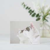 Katzen Postkarte (Stehend Vorderseite)