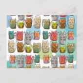 Katzen! Postkarte (Vorderseite)