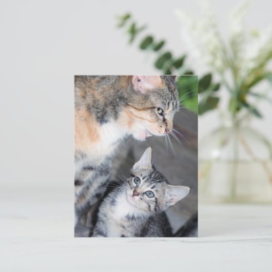 Katzen Postkarte (Stehend Vorderseite)