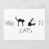 Katzen Postkarte (Vorderseite)