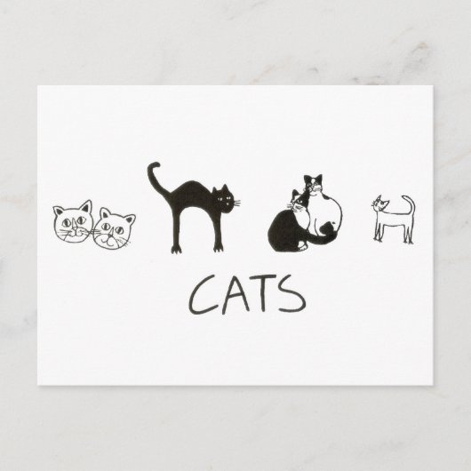 Katzen Postkarte (Vorderseite)