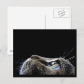 Katzen-Profil-Postkarte Postkarte (Vorne/Hinten)
