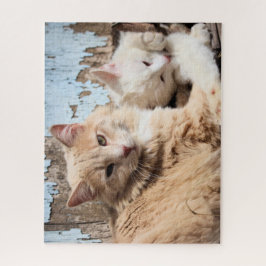 Katzen Puzzle