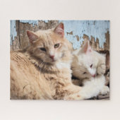 Katzen Puzzle (Horizontal)