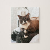 Katzen-Puzzle Puzzle (Vertikal)