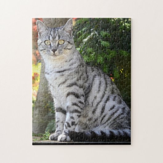 Katzen-Puzzlespiel Puzzle (Vertikal)