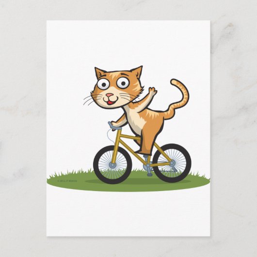 Katzen-Radfahrer Postkarte (Vorderseite)