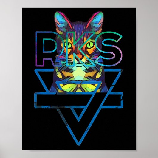 Katzen Rainbow Kitten Überraschung Niedliche Katze Poster (Vorne)
