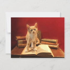 Katzen-Reading Bleibe auf Büchern Postüberqueren Postkarte