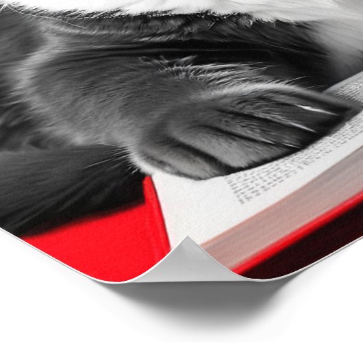 Katzen-Reading-Buch Poster (Ecke)