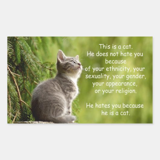 Katzen Rechteckiger Aufkleber (Vorderseite)