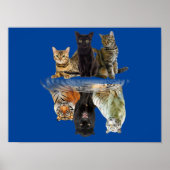 Katzen Reflection Friend Cat Lovers Niedlich Tiger Poster (Vorne)