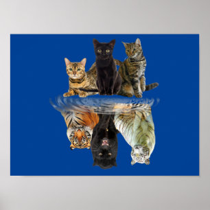 Katzen Reflection Friend Cat Lovers Niedlich Tiger Poster