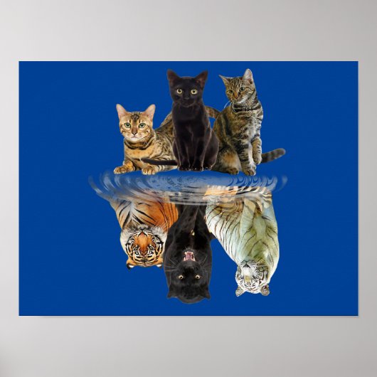 Katzen Reflection Friend Cat Lovers Niedlich Tiger Poster (Vorne)