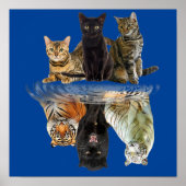 Katzen Reflection Friend Cat Lovers Niedlich Tiger Poster (Vorne)
