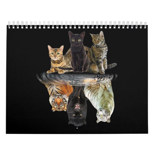 Katzen Reflection Friend Katze Liebhaber Niedlich Kalender (Titelbild)