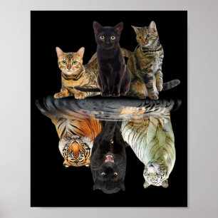 Katzen Reflection Friend Katze Liebhaber Niedlich  Poster