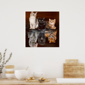 Katzen Reflektionswasser, lustige Katzen Geschenke Poster (Küche)