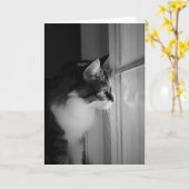 Katzen-Reflexions-Raum-Gruß-Karte Karte (Gelbe Blume)