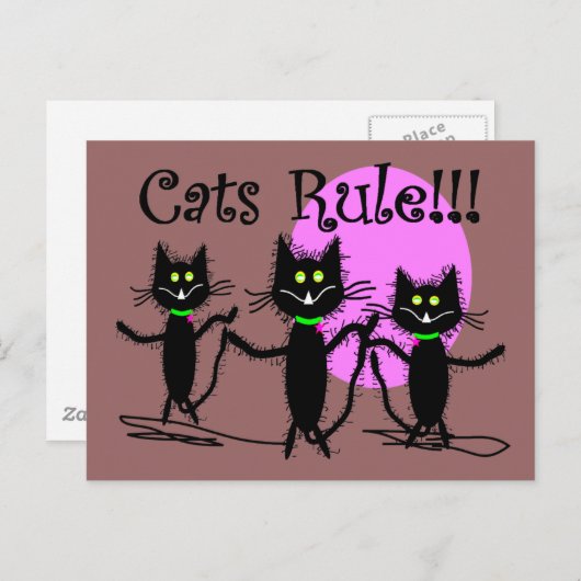 Katzen Regel!!!  Black Cat Design...bezaubernd Postkarte (Vorne/Hinten)