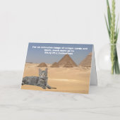 Katzen Regel! Karte (Rückseite)