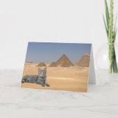 Katzen Regel! Karte (Vorderseite)