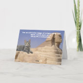 Katzen Regel! Karte (Rückseite)
