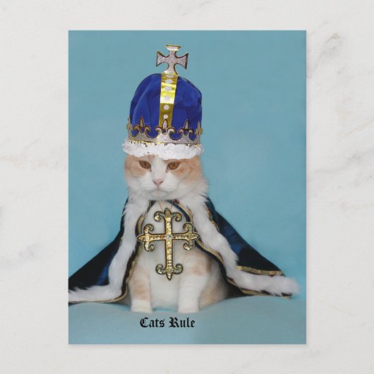 Katzen Regel Postkarte (Vorderseite)