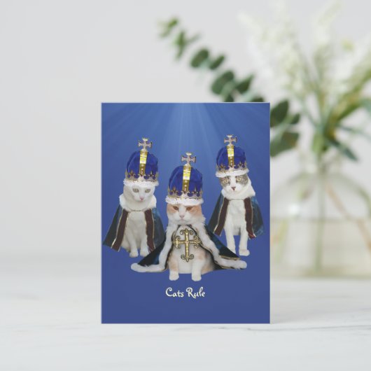 Katzen Regel Postkarte (Stehend Vorderseite)