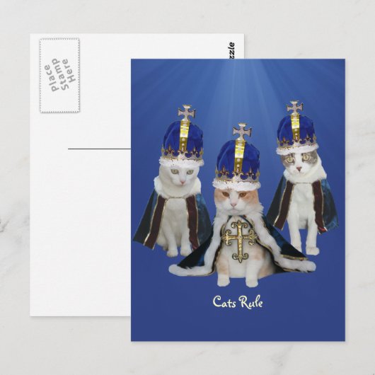 Katzen Regel Postkarte (Vorne/Hinten)