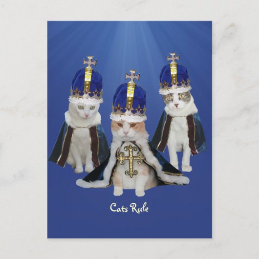 Katzen Regel Postkarte (Vorderseite)