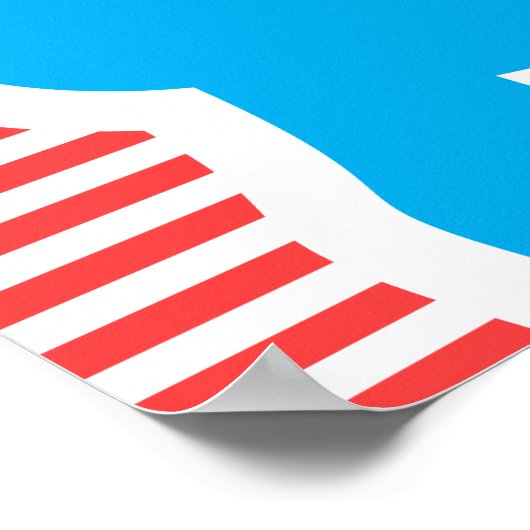 Katzen Regeln ! Poster (Ecke)