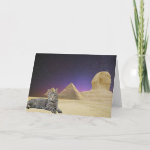 Katzen regieren! karte